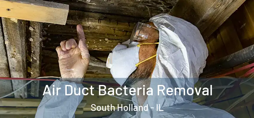  Air Duct Bacteria Removal South Holland - IL