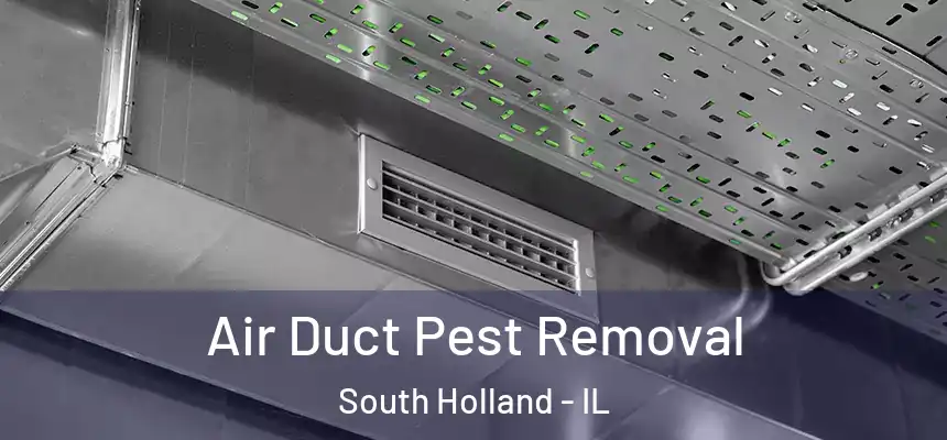  Air Duct Pest Removal South Holland - IL
