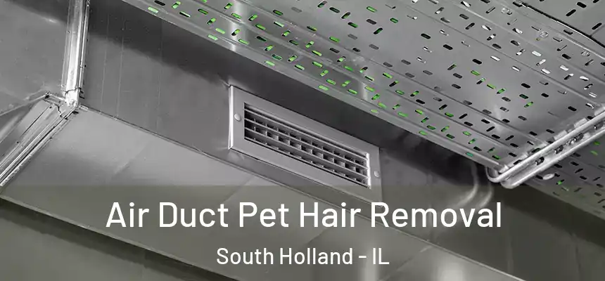  Air Duct Pet Hair Removal South Holland - IL