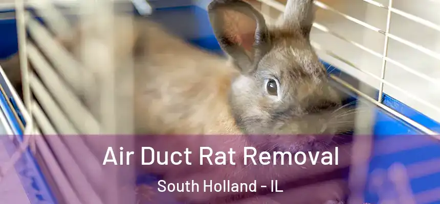  Air Duct Rat Removal South Holland - IL