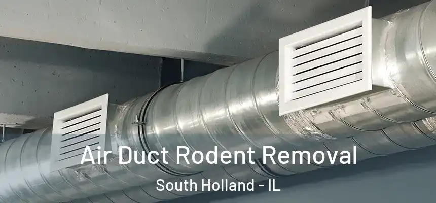 Air Duct Rodent Removal South Holland - IL