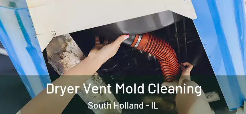  Dryer Vent Mold Cleaning South Holland - IL