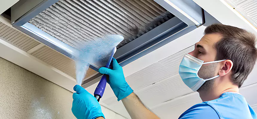 Proactive Dryer Vent & Auxiliary Duct Pollen Cleanup in South Holland, IL