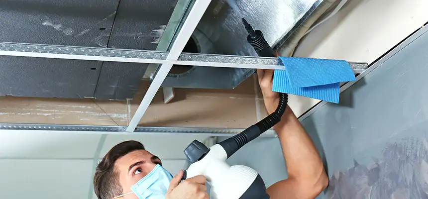 Our Air Duct Rodent Removal Services in South Holland, IL