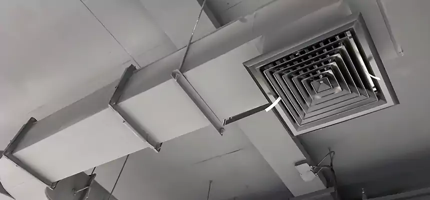 Restorative Allergy Relief Vent Cleaning – Coil, Blower & Housing Detail in South Holland