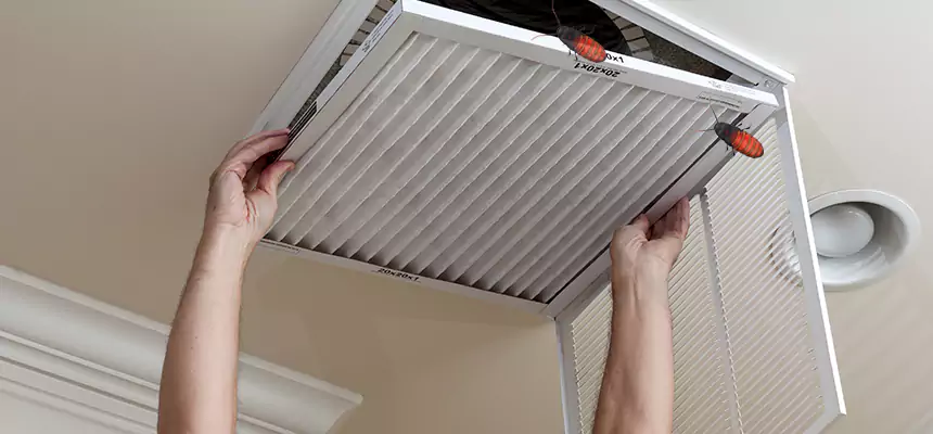 Our Insect Removal from Air Ducts Services in South Holland, IL