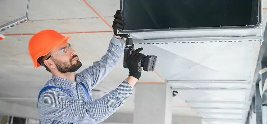 Roof Cap & Exterior Hood Lint Buildup Removal – South Holland