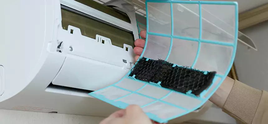 Gentle Ductwork Odor-Control Pet Dander Duct Cleaning in South Holland, IL