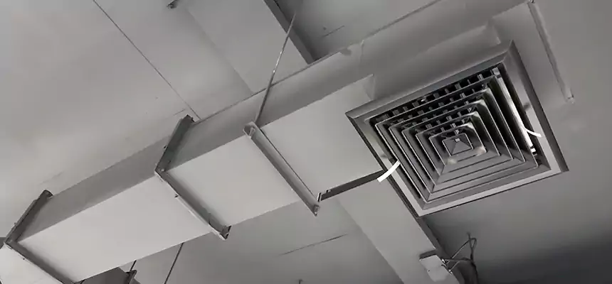 Our Rodent Droppings In Vents Services in South Holland, IL