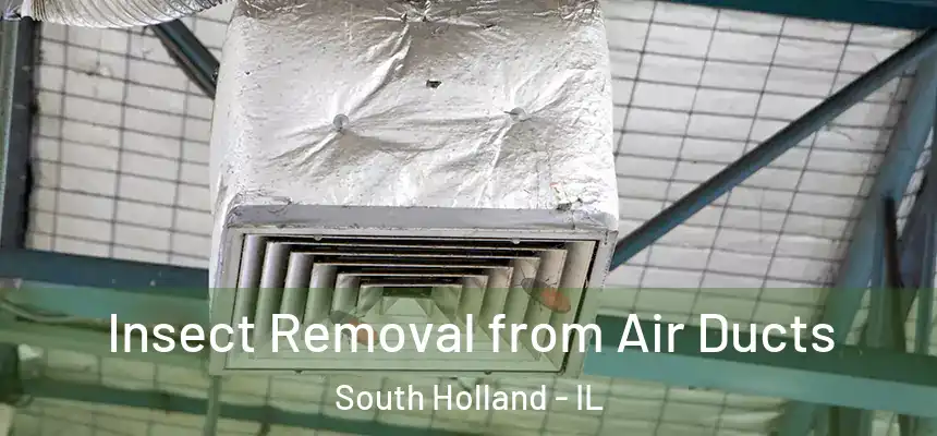 Insect Removal from Air Ducts South Holland - IL