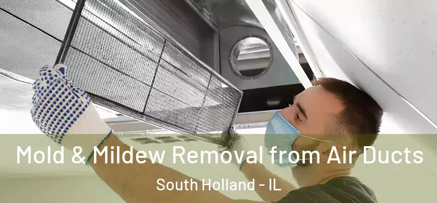 Mold & Mildew Removal from Air Ducts South Holland - IL