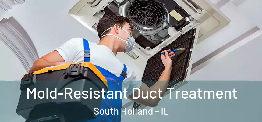  Mold-Resistant Duct Treatment South Holland - IL