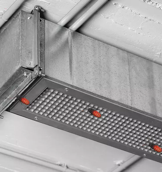 Affordable Insect Removal from Air Ducts in South Holland, IL