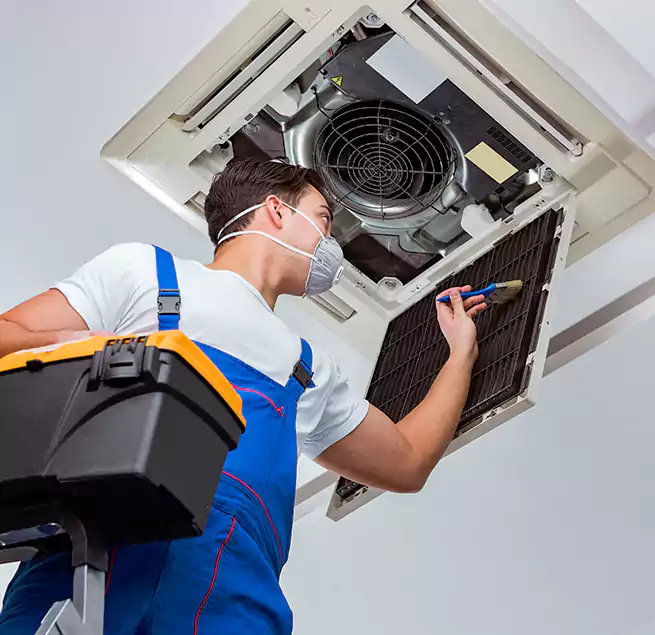 Why Homeowners & Businesses Trust Us in South Holland, IL?