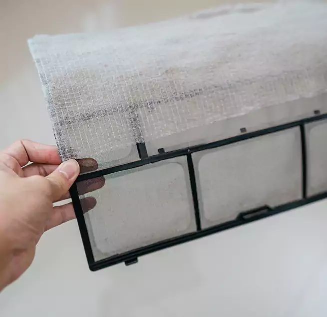 Why Homeowners & Businesses Trust Us in South Holland, IL?