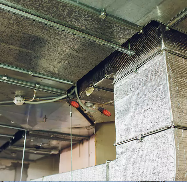 Why Homeowners & Businesses Trust Us South Holland, IL?