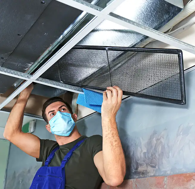 Why Homeowners & Businesses Trust Us in South Holland, IL?