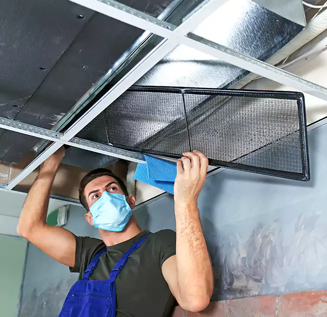 Why Homeowners Businesses Trust Us in South Holland, IL